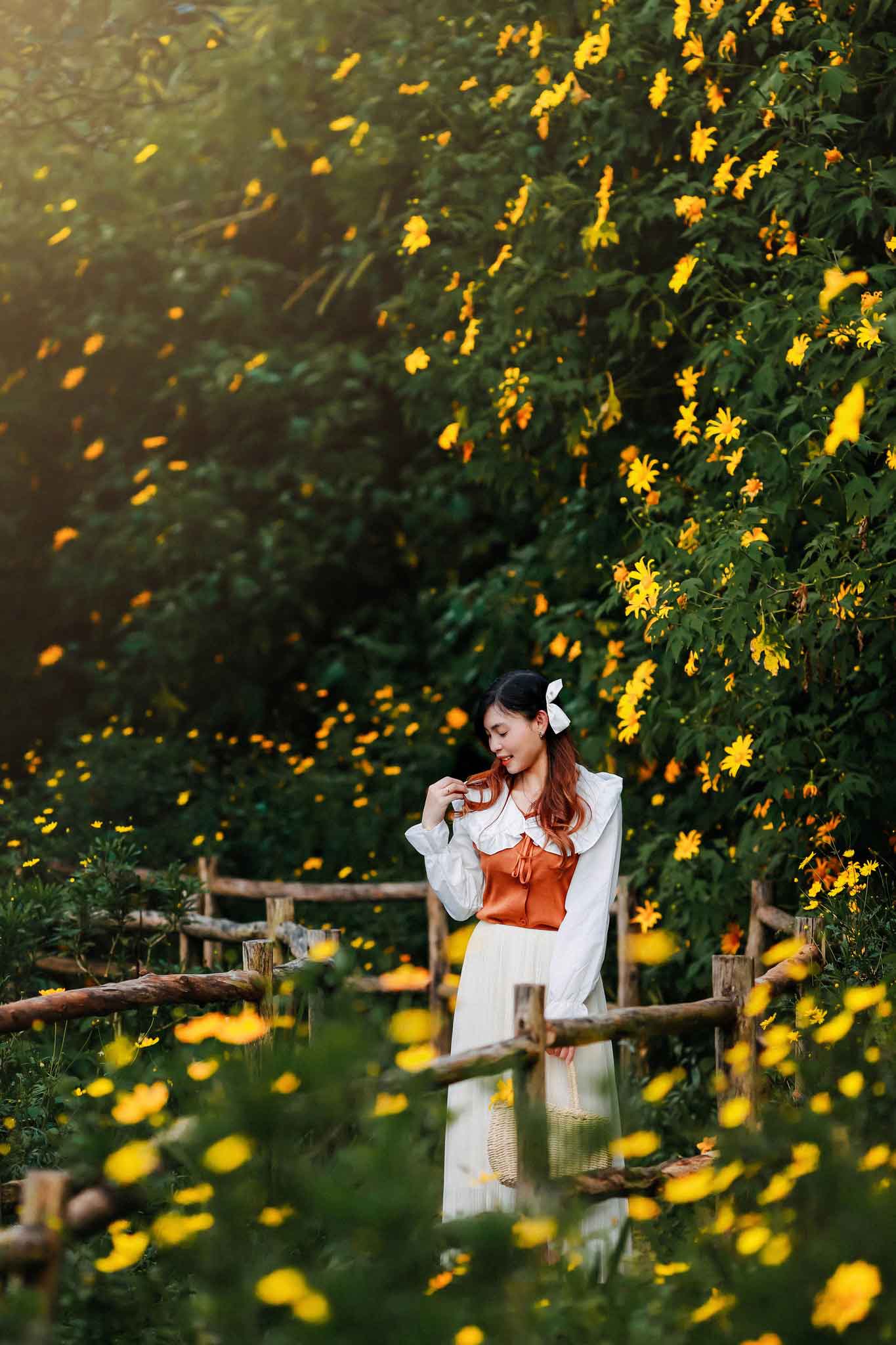 lễ hội hoa dã quỳ ở Đà Lạt